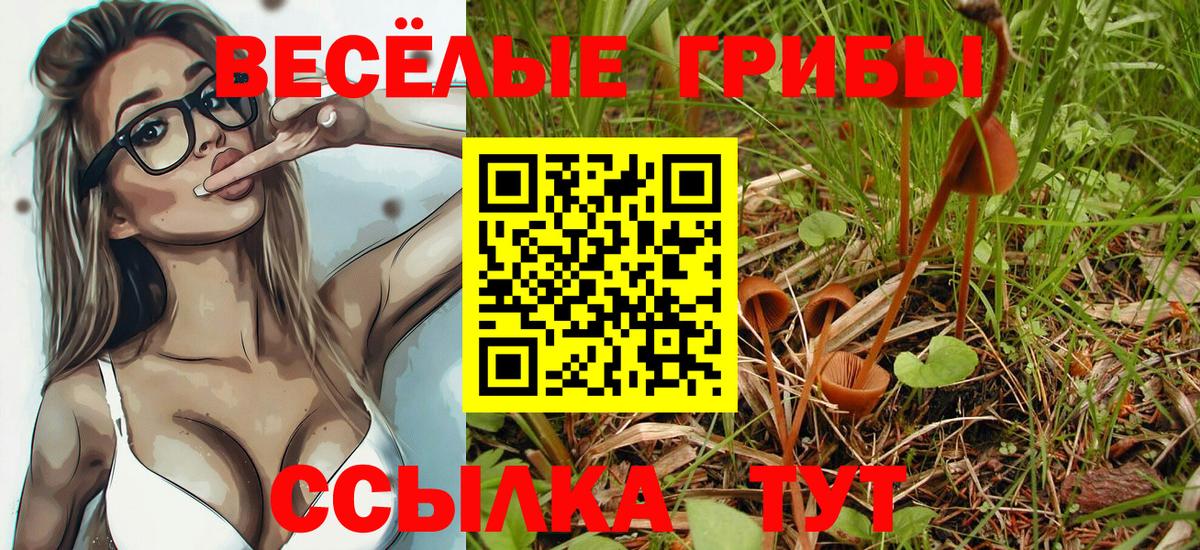 Георгиевск  Галлюциногенные грибы MAGIC MUSHROOMS  Вход с VPN  Галлюциногенные грибы Cubensis 